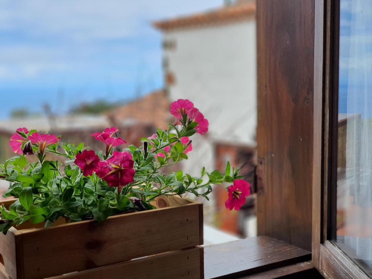 Vina Camello Villa Buenavista Del Norte Exteriör bild